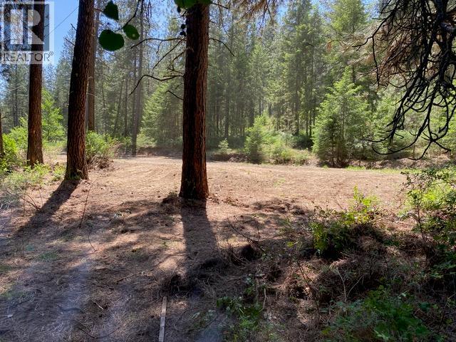 995 395 Highway, Christina Lake, British Columbia  V0H 1E0 - Photo 6 - 10380048