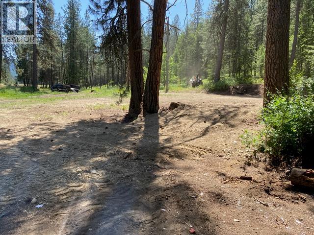 995 395 Highway, Christina Lake, British Columbia  V0H 1E0 - Photo 7 - 10380048