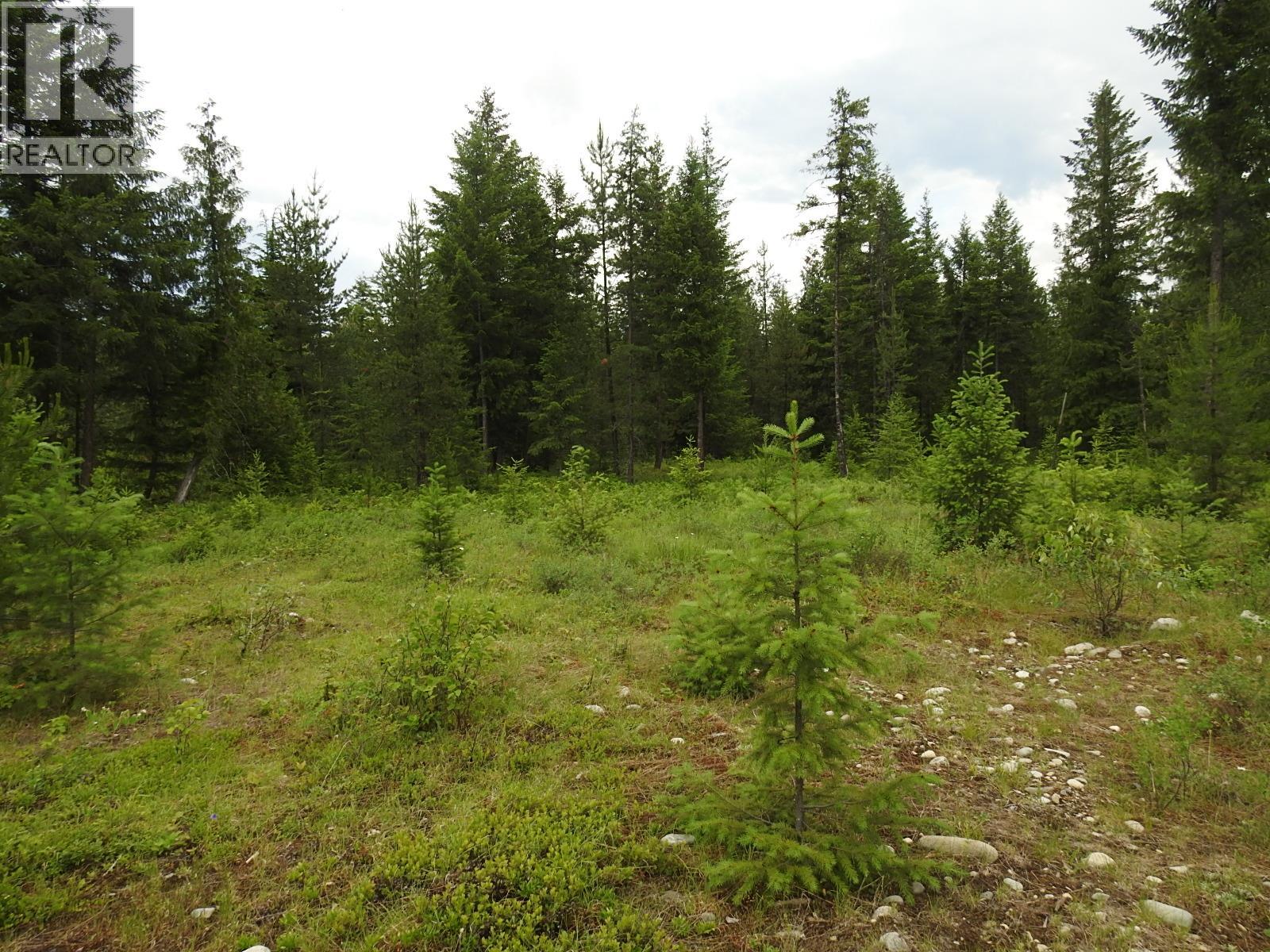 9700 Hwy 6, Edgewood, British Columbia  V0G 1J0 - Photo 15 - 10380399