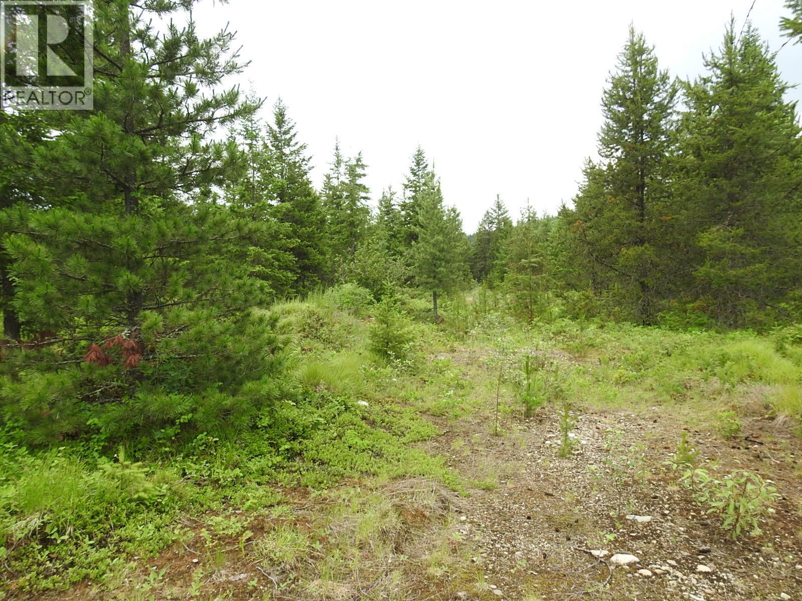 9700 Hwy 6, Edgewood, British Columbia  V0G 1J0 - Photo 17 - 10380399