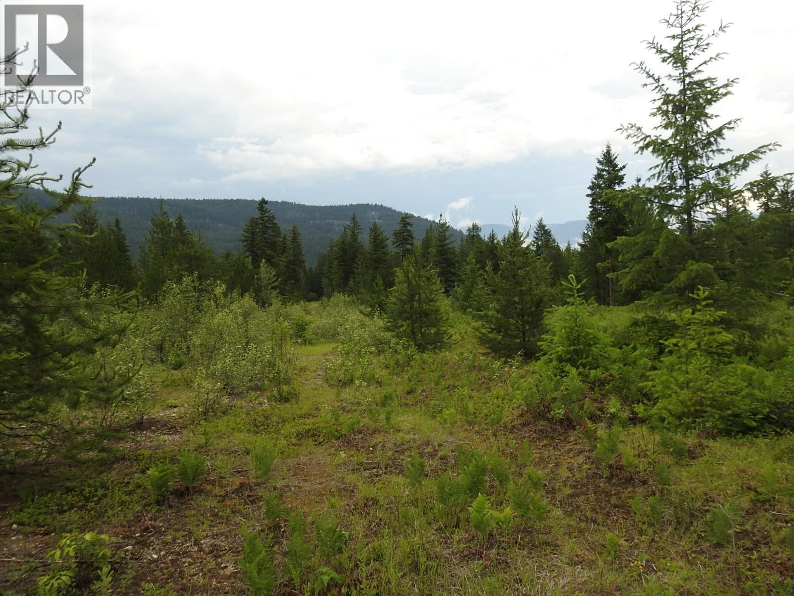 9700 Hwy 6, Edgewood, British Columbia  V0G 1J0 - Photo 18 - 10380399