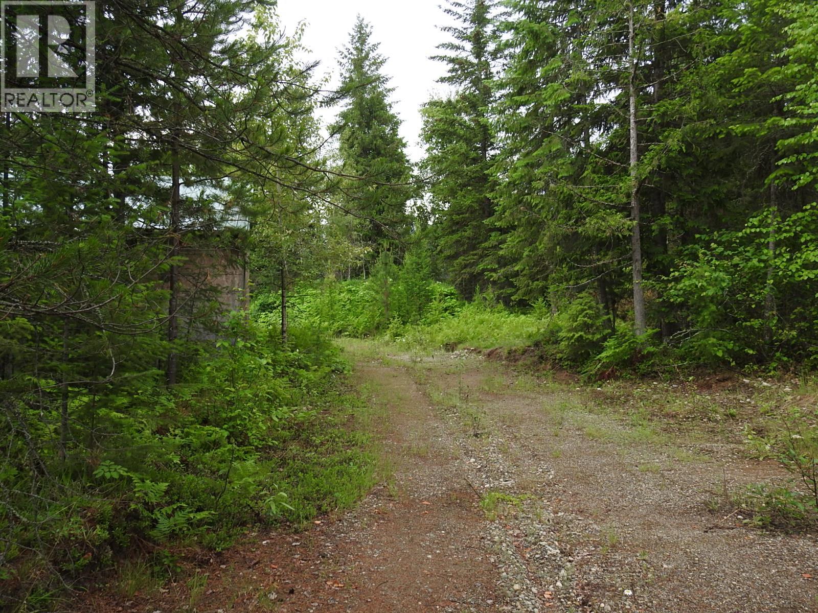 9700 Hwy 6, Edgewood, British Columbia  V0G 1J0 - Photo 4 - 10380399