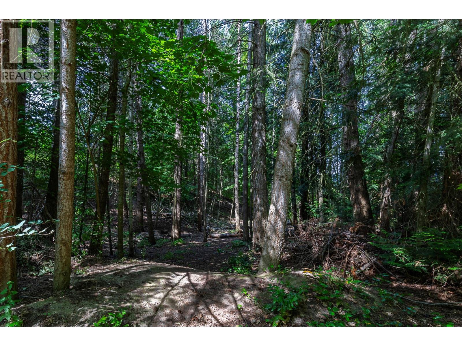 2861 5 Avenue Se, Salmon Arm, British Columbia  V1E 2H1 - Photo 47 - 10380291