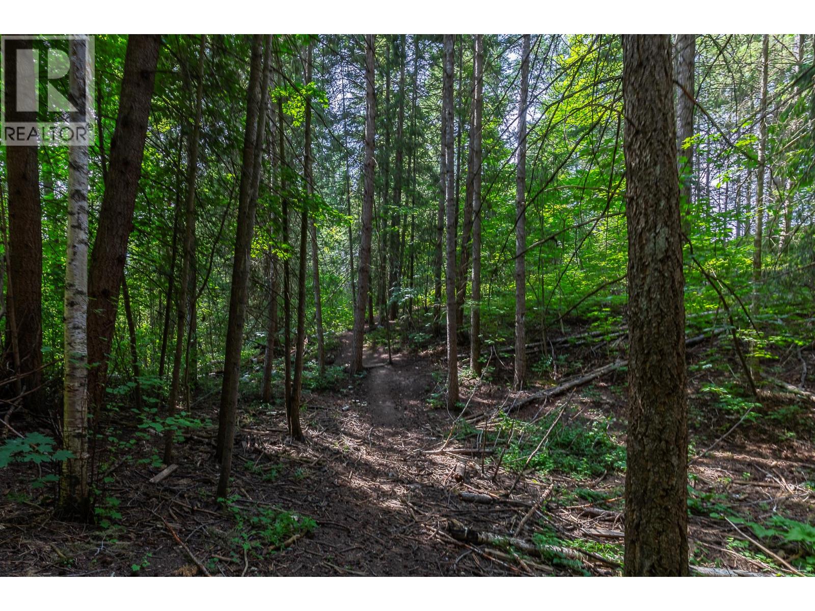 2861 5 Avenue Se, Salmon Arm, British Columbia  V1E 2H1 - Photo 48 - 10380291