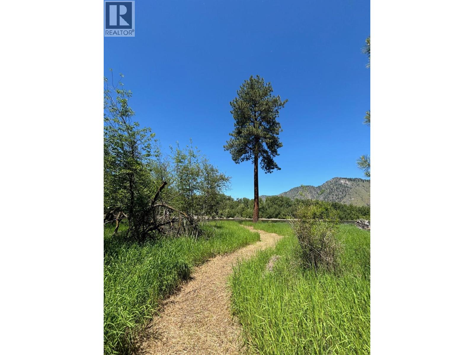 Manly Meadows Road Lot# 55, Grand Forks, British Columbia  V0H 1H9 - Photo 5 - 10380107
