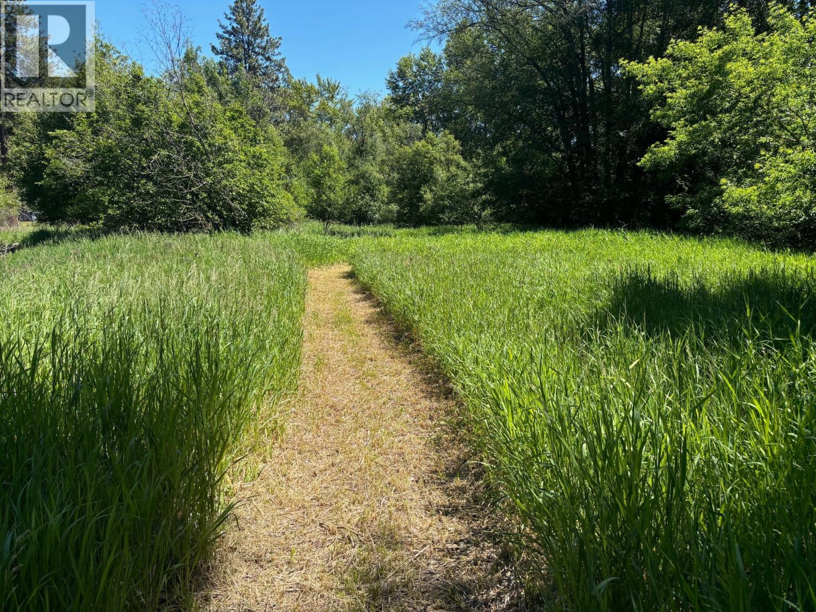 Manly Meadows Road Lot# 55, Grand Forks, British Columbia  V0H 1H9 - Photo 6 - 10380107