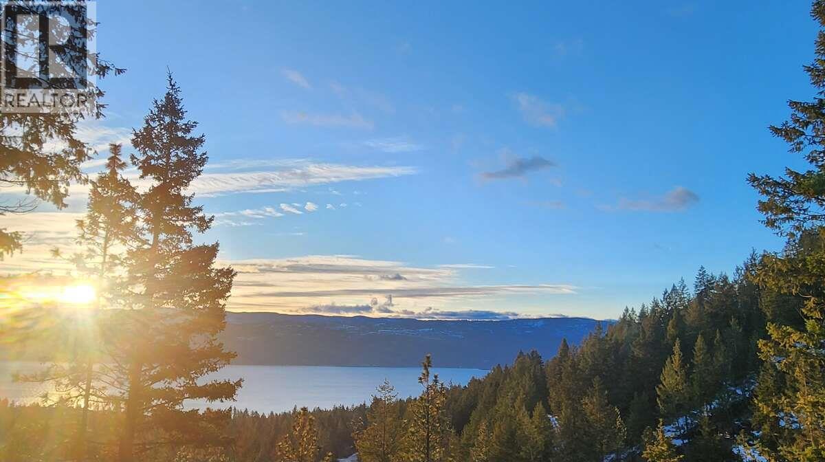 10795 Westshore Road, Vernon, British Columbia  V1H 2C3 - Photo 2 - 10380470