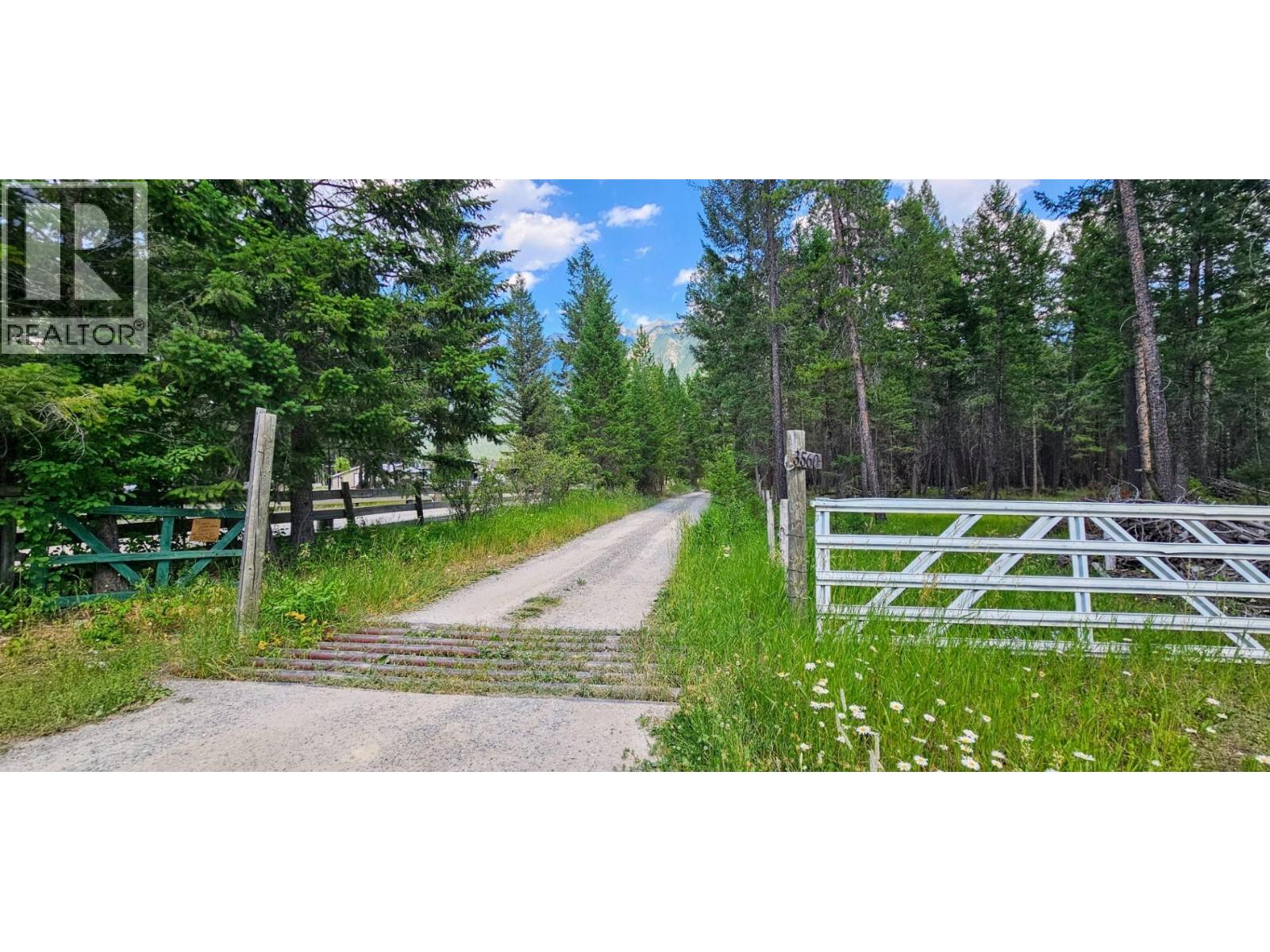 3560 Island Pond Road, Skookumchuck, British Columbia  V0B 2E0 - Photo 54 - 10380430
