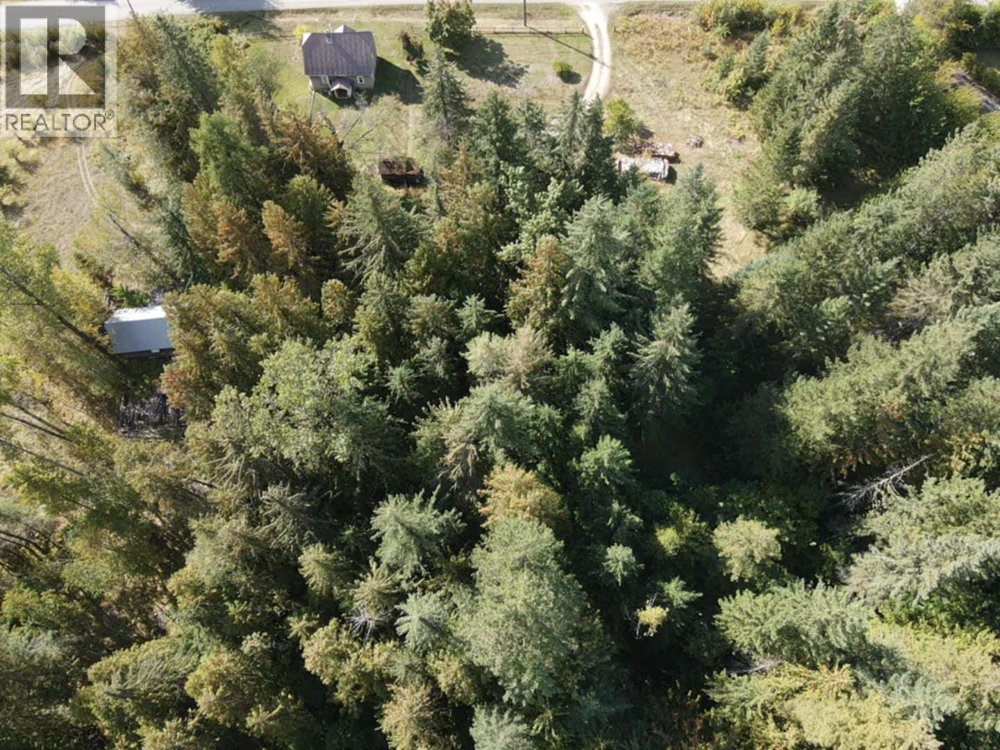 431 Alexander Road, Nakusp, British Columbia  V0G 1R1 - Photo 22 - 10380490