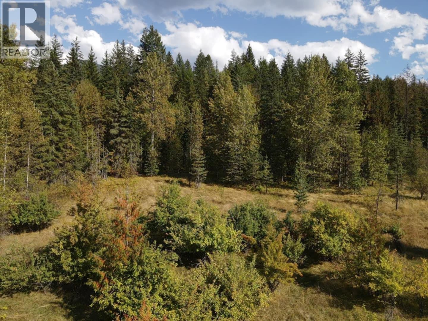 Lot 4 Alexander Road, Nakusp, British Columbia  V0G 1R1 - Photo 3 - 10380473