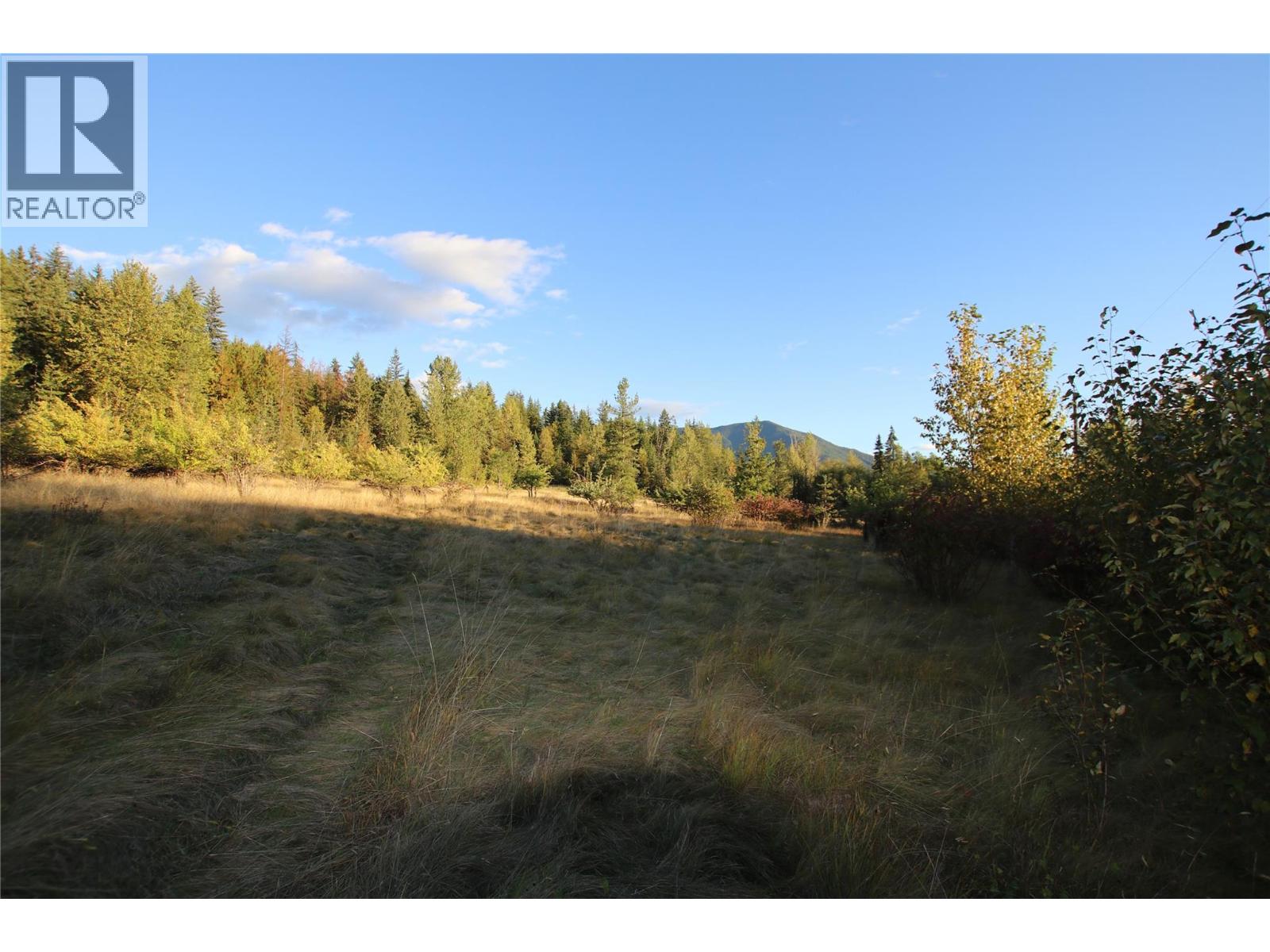 Lot 4 Alexander Road, Nakusp, British Columbia  V0G 1R1 - Photo 4 - 10380473