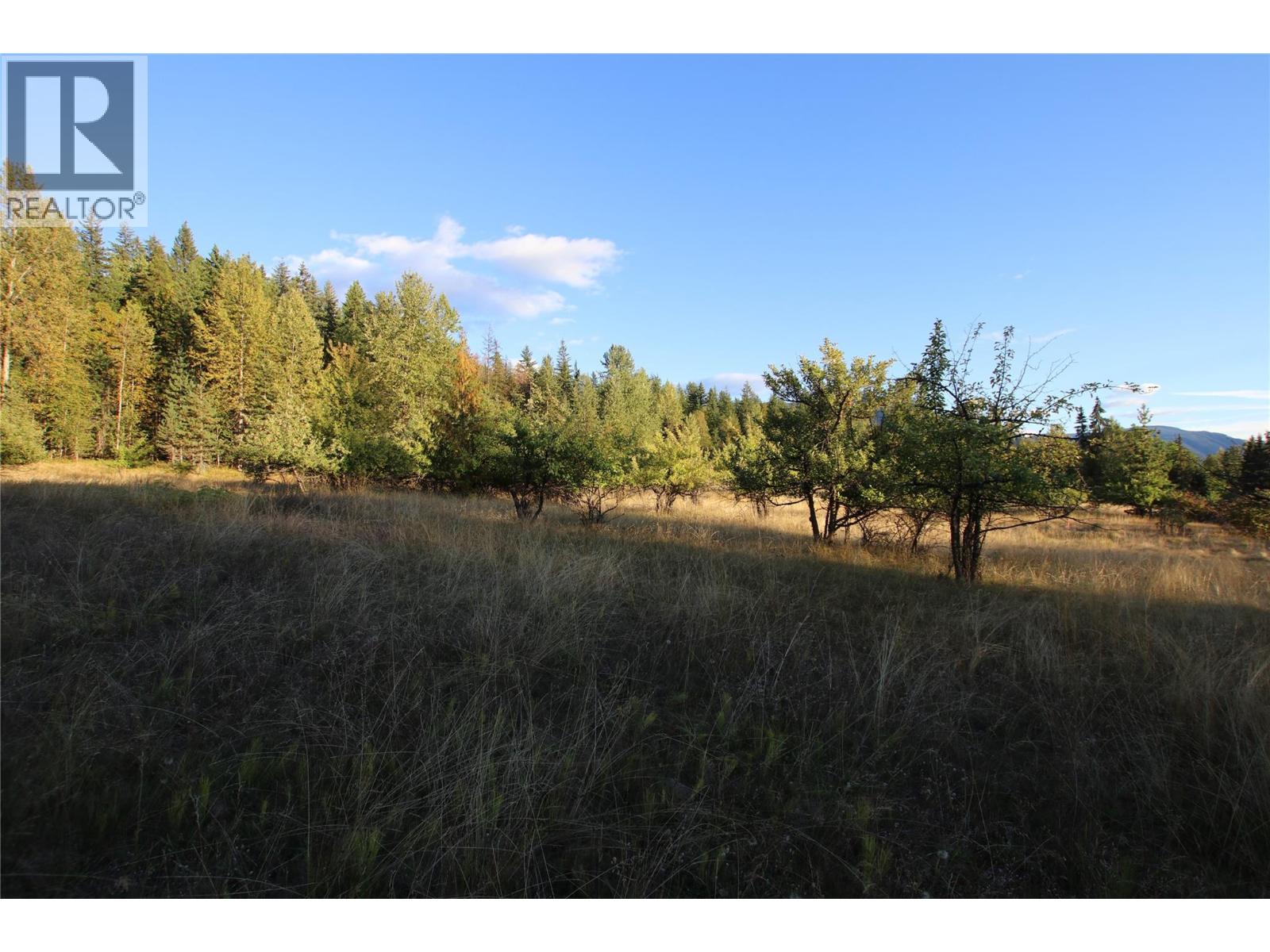 Lot 4 Alexander Road, Nakusp, British Columbia  V0G 1R1 - Photo 7 - 10380473