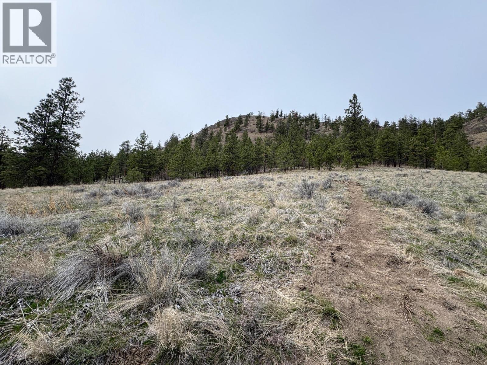 Andrew Avenue Lot# 2, Summerland, British Columbia  V0H 1Z7 - Photo 4 - 10380471