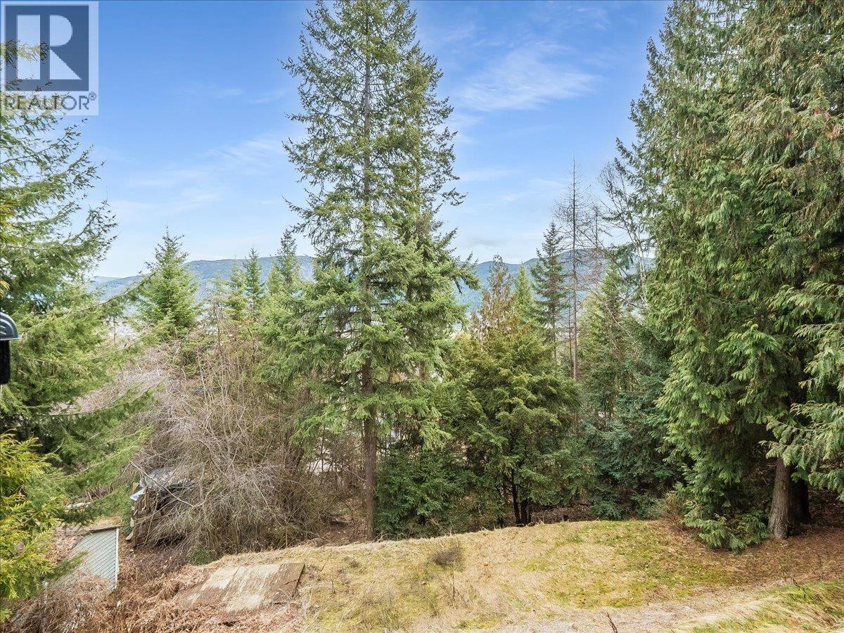 2421 12th Avenue, Castlegar, British Columbia  V1N 4A9 - Photo 3 - 10380279