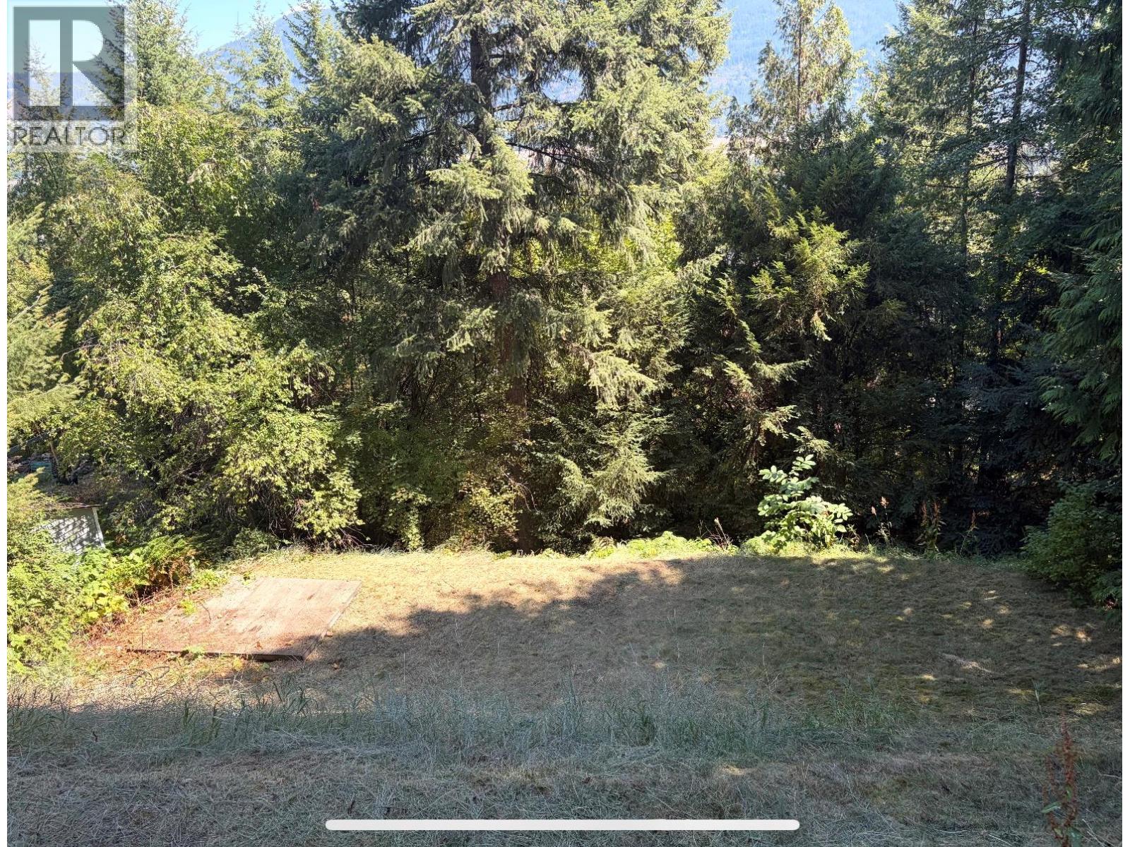 2421 12th Avenue, Castlegar, British Columbia  V1N 4A9 - Photo 49 - 10380279