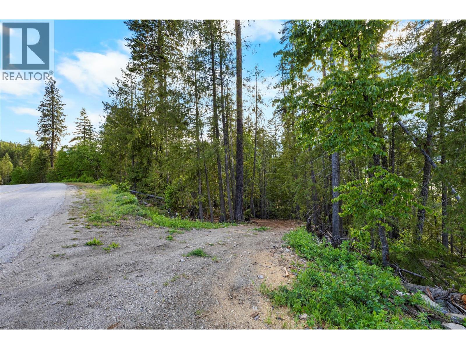 Lot 1 Riondel Road, Riondel, British Columbia  V0B 2B0 - Photo 11 - 10380507