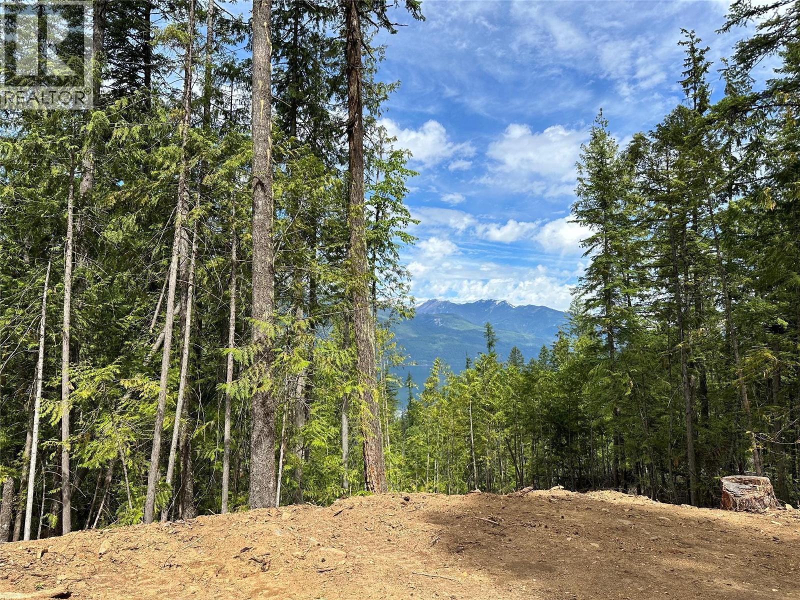 Lot 1 Riondel Road, Riondel, British Columbia  V0B 2B0 - Photo 4 - 10380507