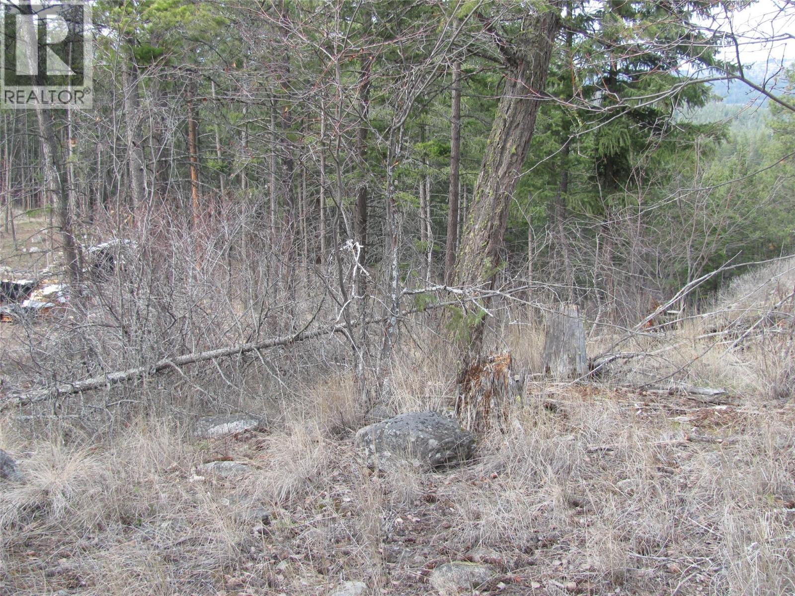Dunwaters Road Lot# 84, Fintry, British Columbia  V1T 3W4 - Photo 4 - 10380557