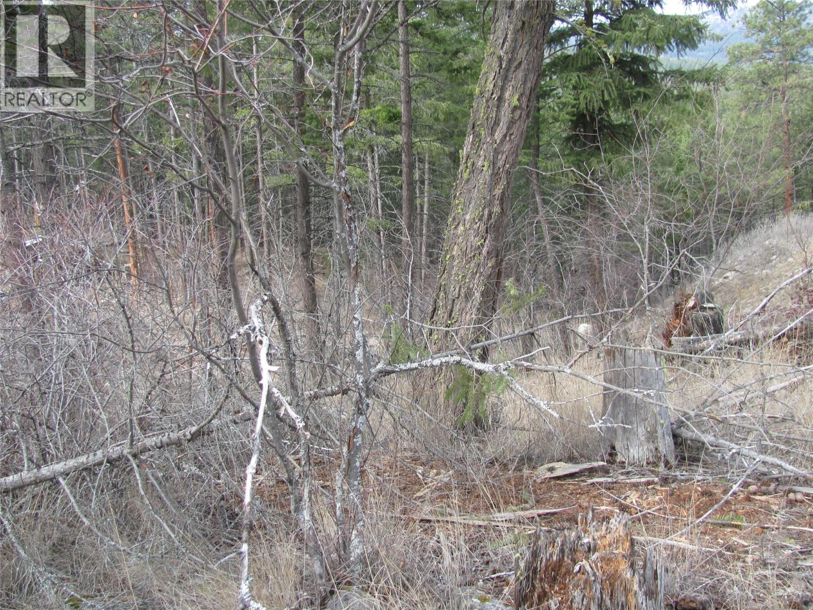 Dunwaters Road Lot# 84, Fintry, British Columbia  V1T 3W4 - Photo 6 - 10380557