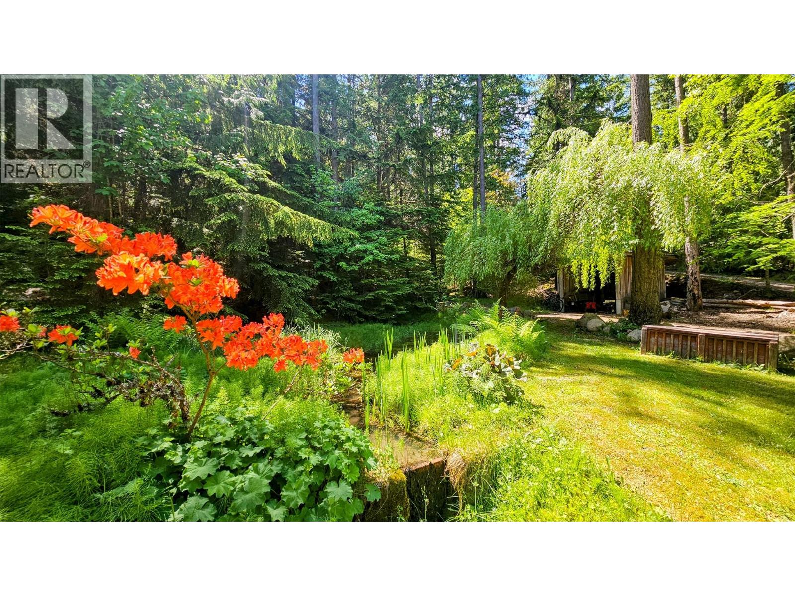 8496 B Procter Road E, Procter, British Columbia  V1L 0B7 - Photo 3 - 10380536