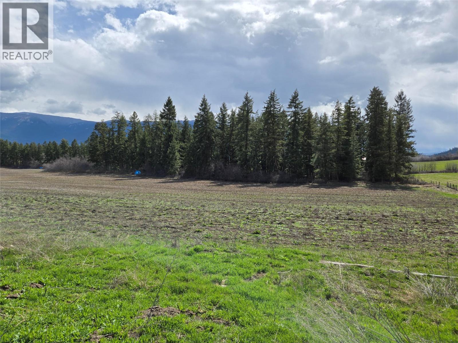 4462 Salmon River Road, Spallumcheen, British Columbia  V4Y 0W7 - Photo 17 - 10380427