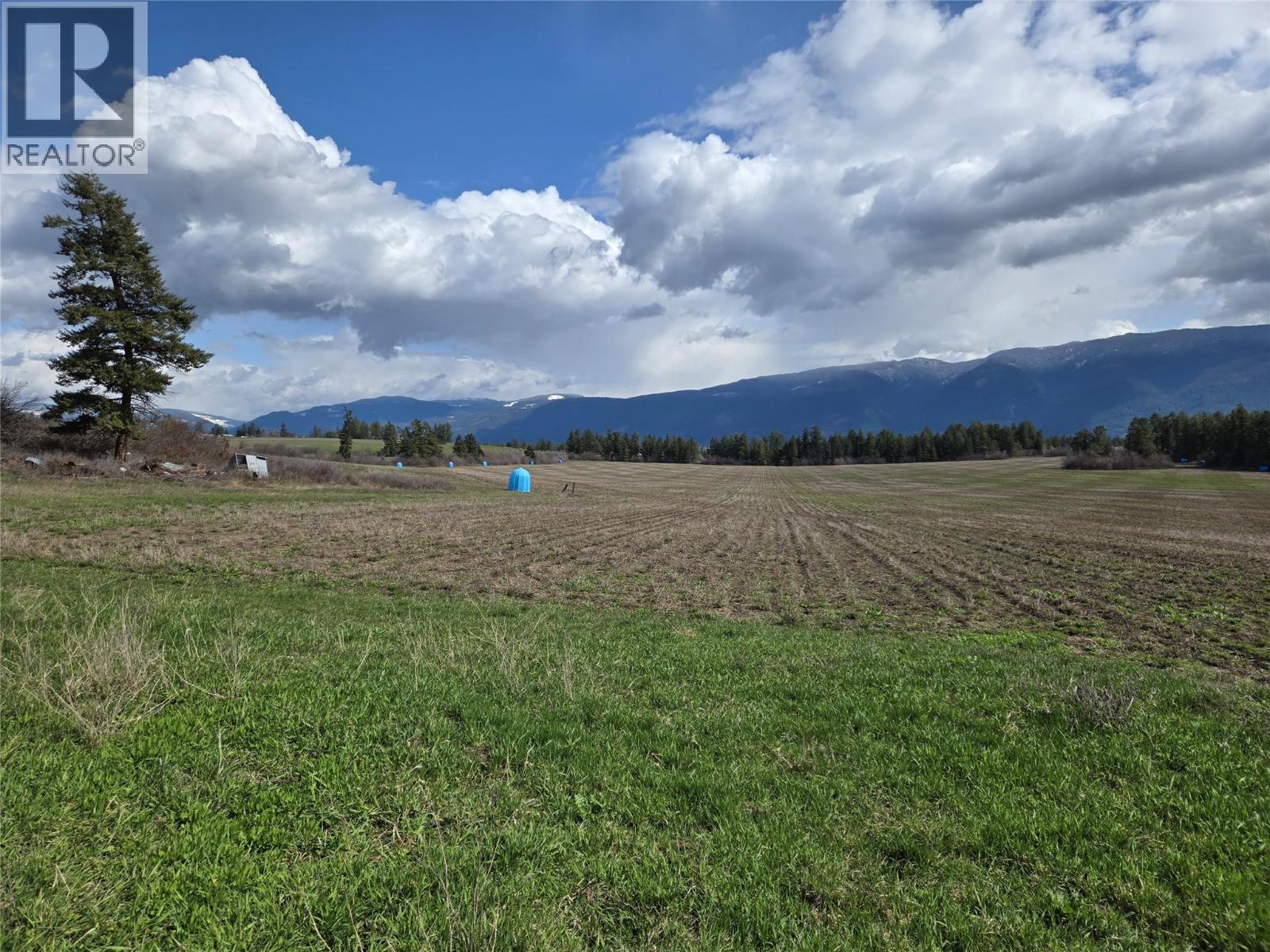 4462 Salmon River Road, Spallumcheen, British Columbia  V4Y 0W7 - Photo 18 - 10380427