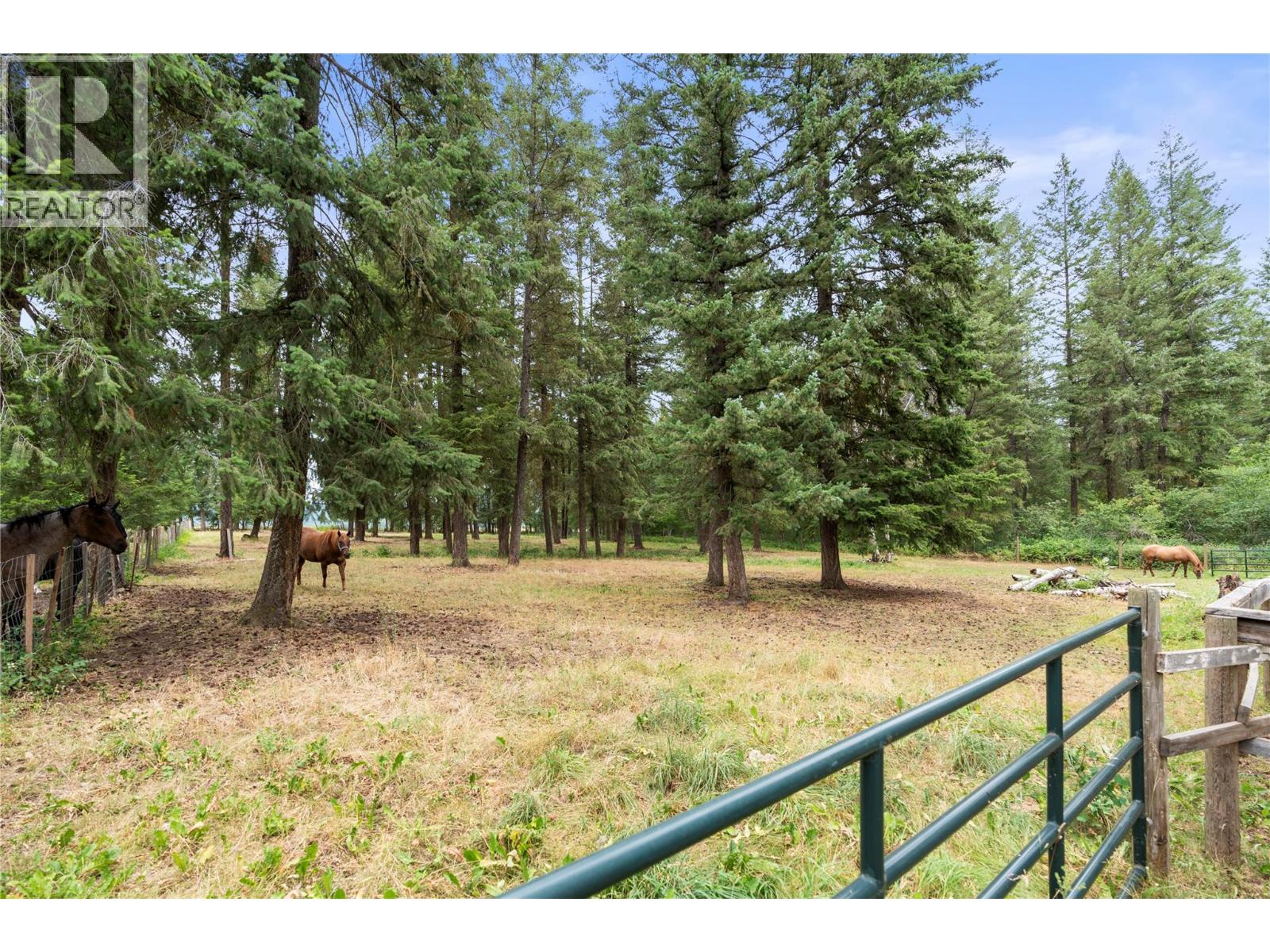 272 Lumby-Mabel Lake Road, Lumby, British Columbia  V0E 2G5 - Photo 36 - 10380595