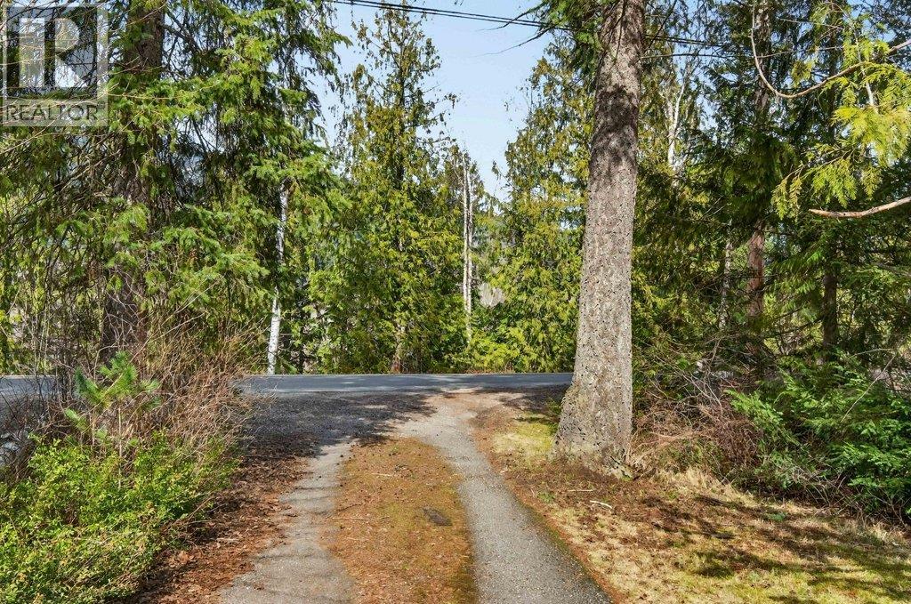 4198 Malakwa Road, Malakwa, British Columbia  V0E 2J0 - Photo 6 - 10379979