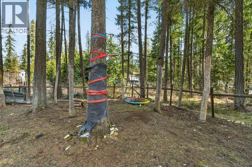 4198 Malakwa Road, Malakwa, British Columbia  V0E 2J0 - Photo 66 - 10379979