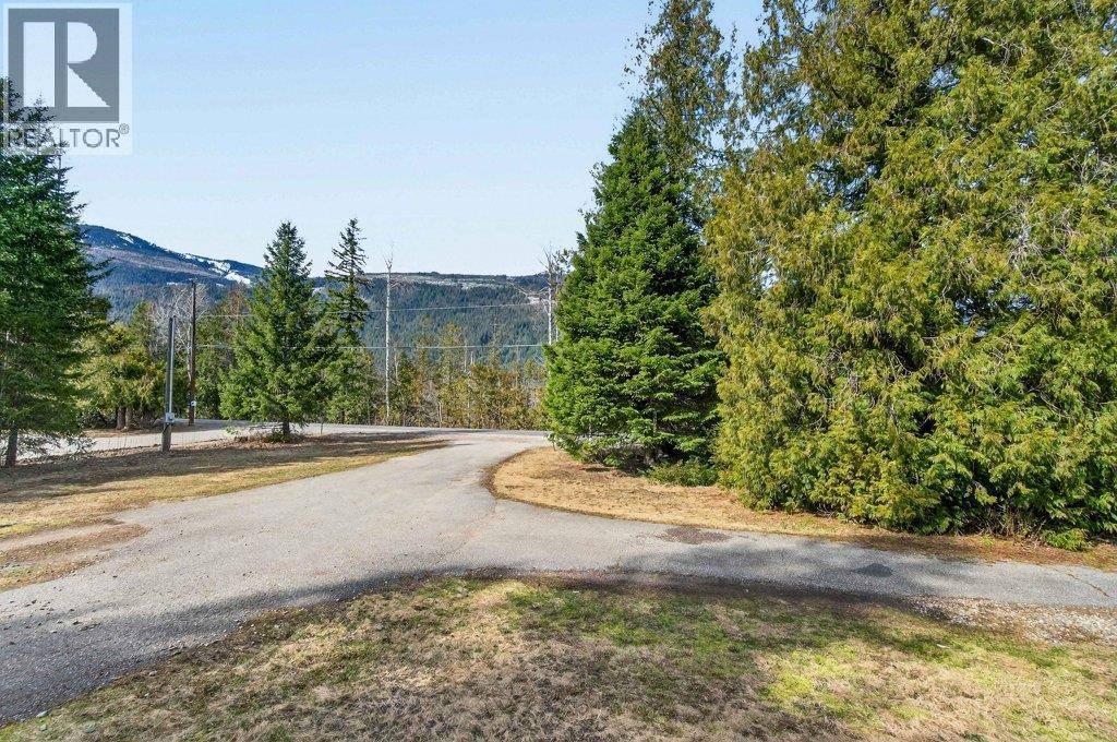 4198 Malakwa Road, Malakwa, British Columbia  V0E 2J0 - Photo 7 - 10379979