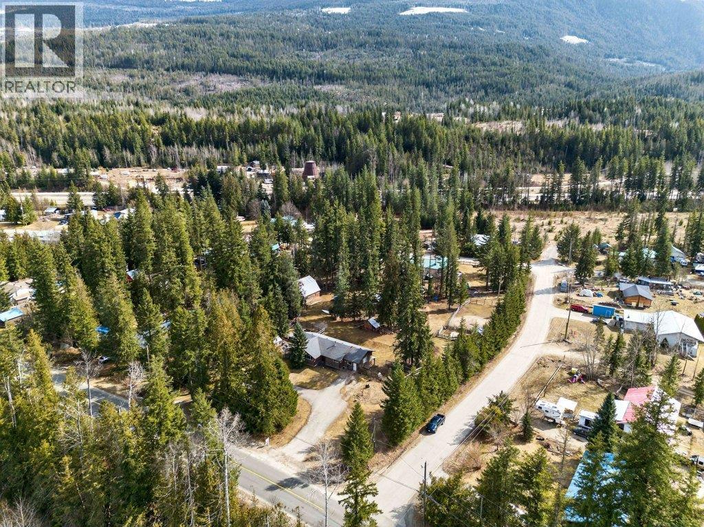 4198 Malakwa Road, Malakwa, British Columbia  V0E 2J0 - Photo 8 - 10379979