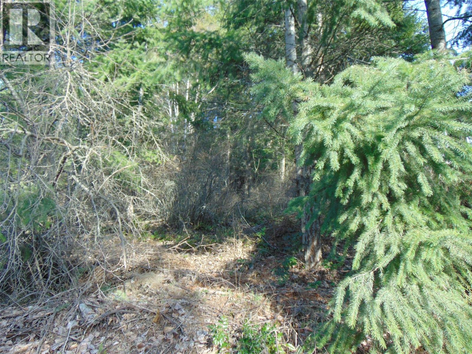 Mcbride Road Lot# 23, Blind Bay, British Columbia  V0E 1H1 - Photo 12 - 10380274