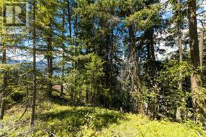 Mcbride Road Lot# 23, Blind Bay, British Columbia  V0E 1H1 - Photo 4 - 10380274