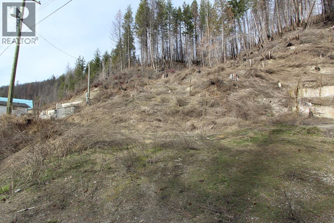 5183 Squilax Anglemont Road, Celista, British Columbia  V0E 1M6 - Photo 2 - 10380711