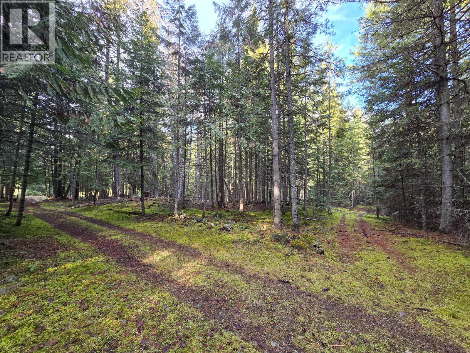 784 Lewis Road, Harrop, British Columbia  V1L 6P7 - Photo 59 - 10380654