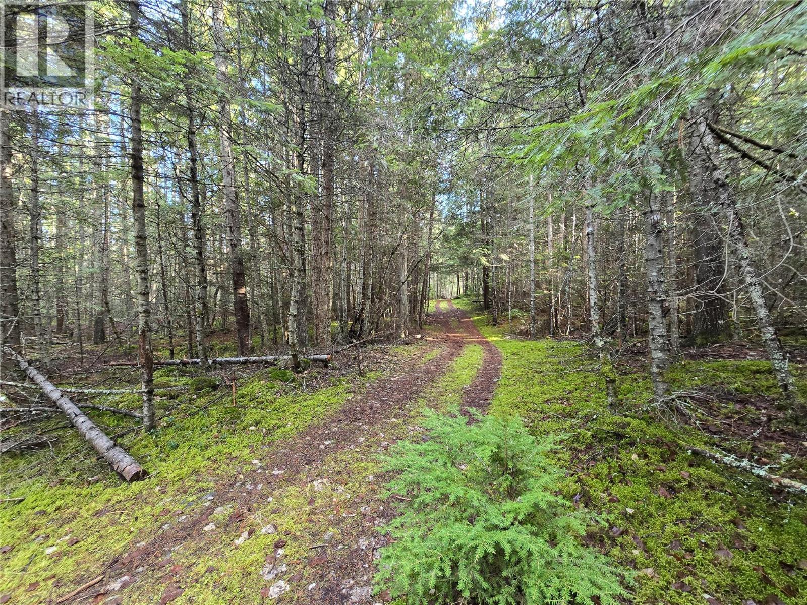 784 Lewis Road, Harrop, British Columbia  V1L 6P7 - Photo 60 - 10380654