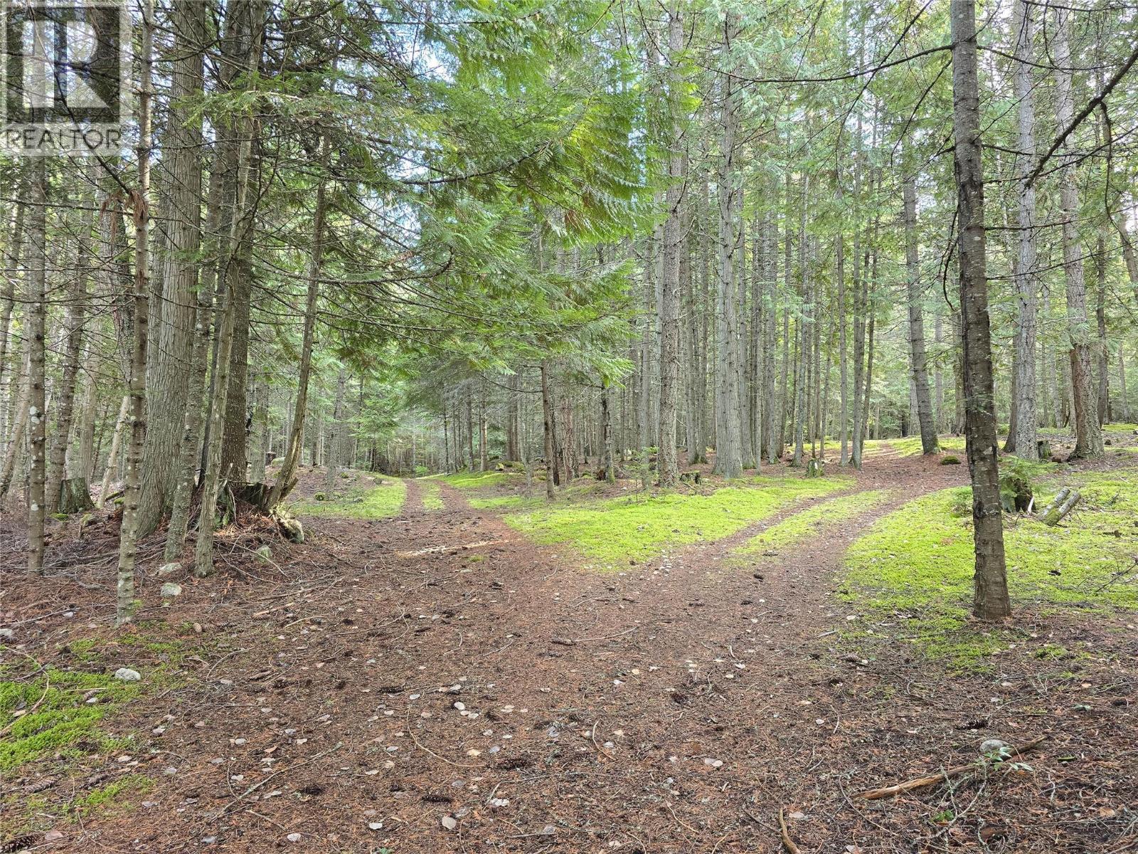 784 Lewis Road, Harrop, British Columbia  V1L 6P7 - Photo 61 - 10380654
