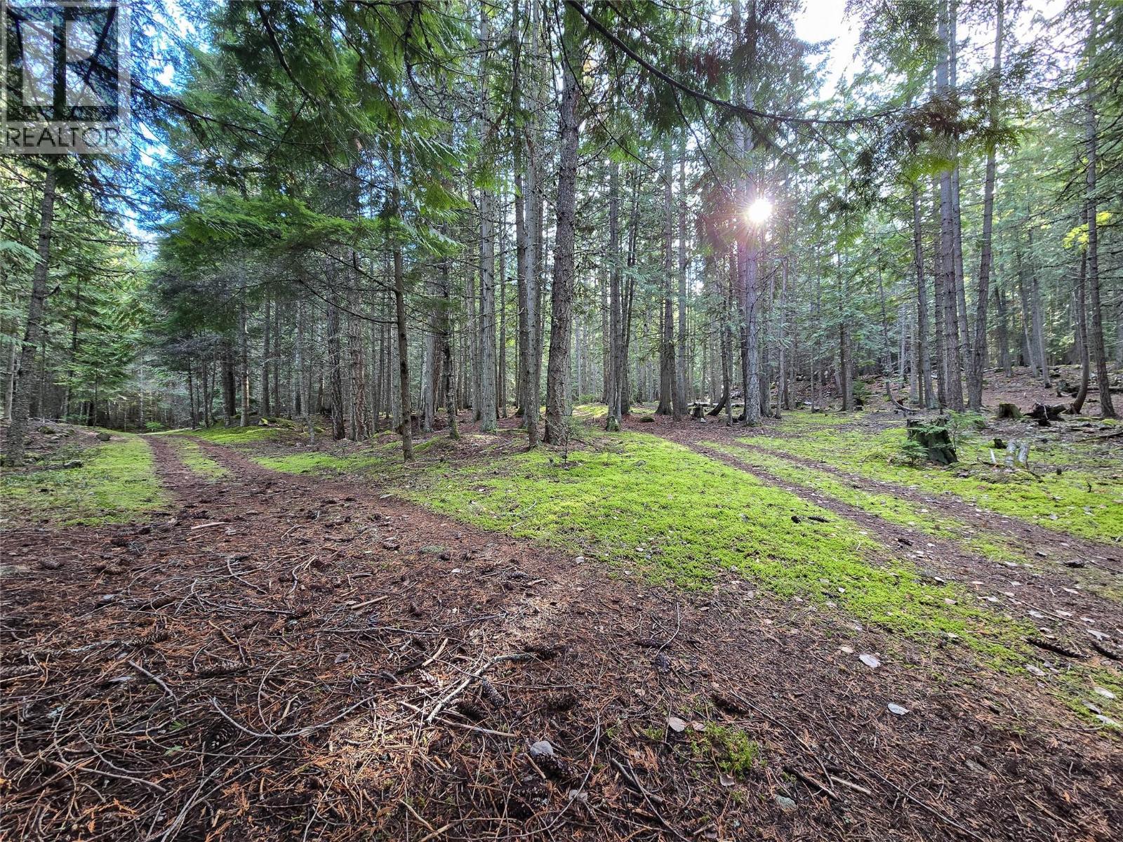 784 Lewis Road, Harrop, British Columbia  V1L 6P7 - Photo 62 - 10380654