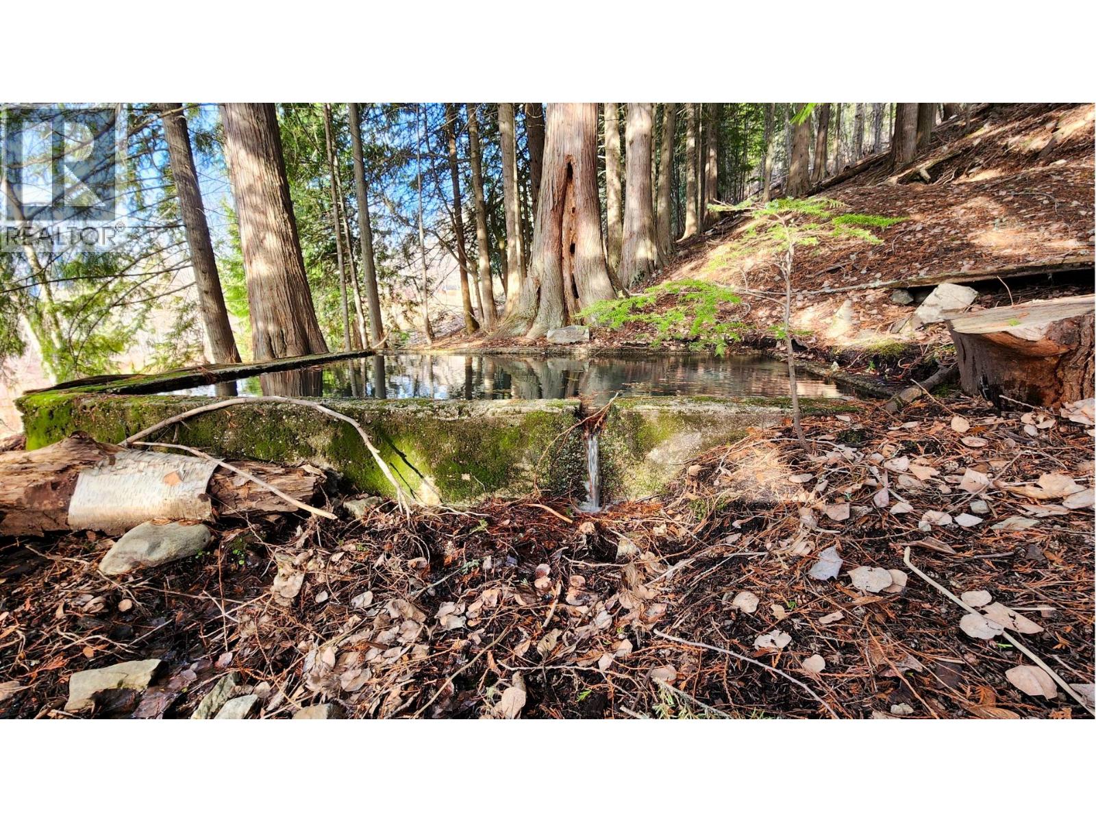 1600 South Sheppard Road, Nelson, British Columbia  V1L 2J1 - Photo 10 - 10380447