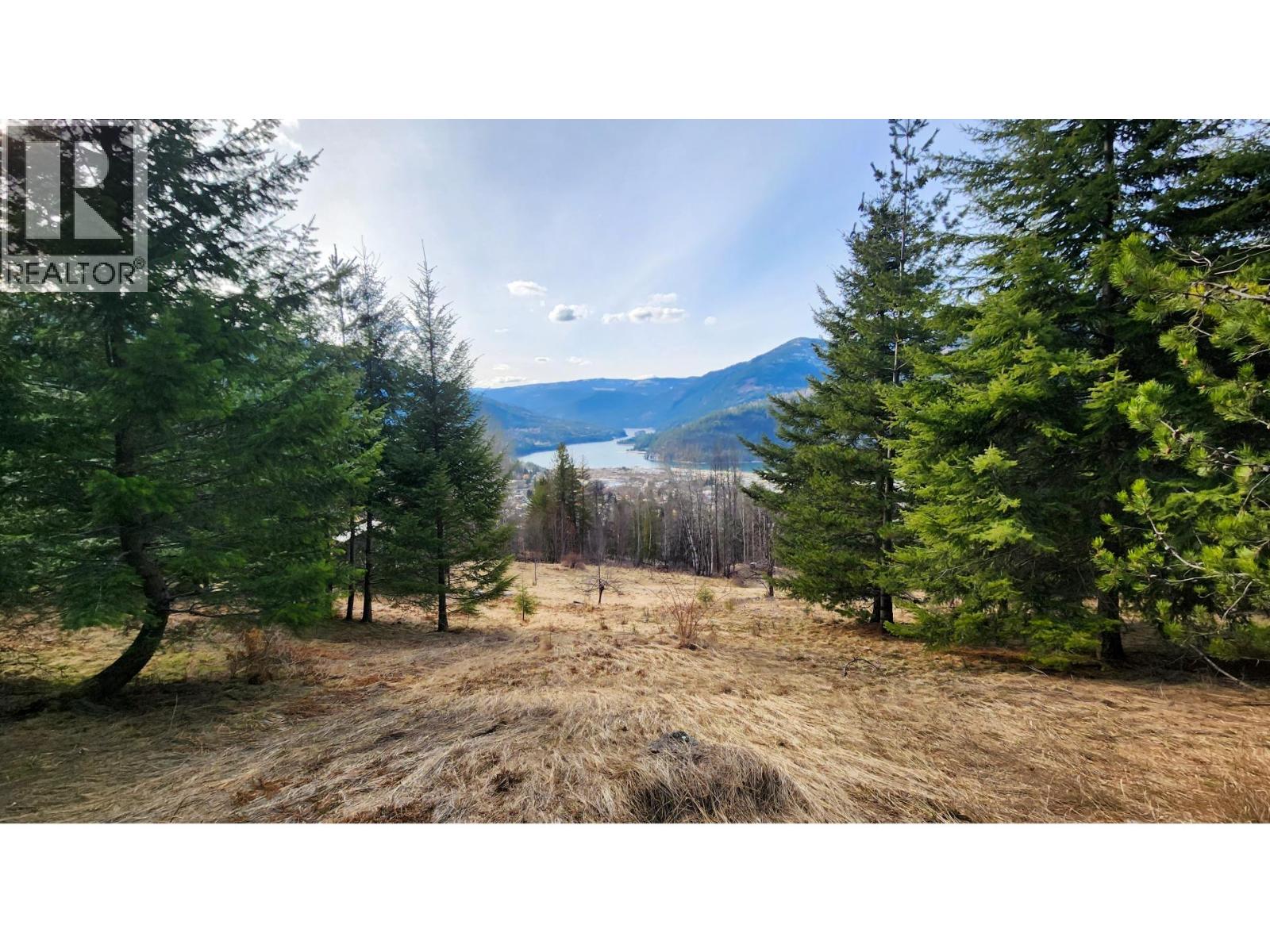 1600 South Sheppard Road, Nelson, British Columbia  V1L 2J1 - Photo 15 - 10380447