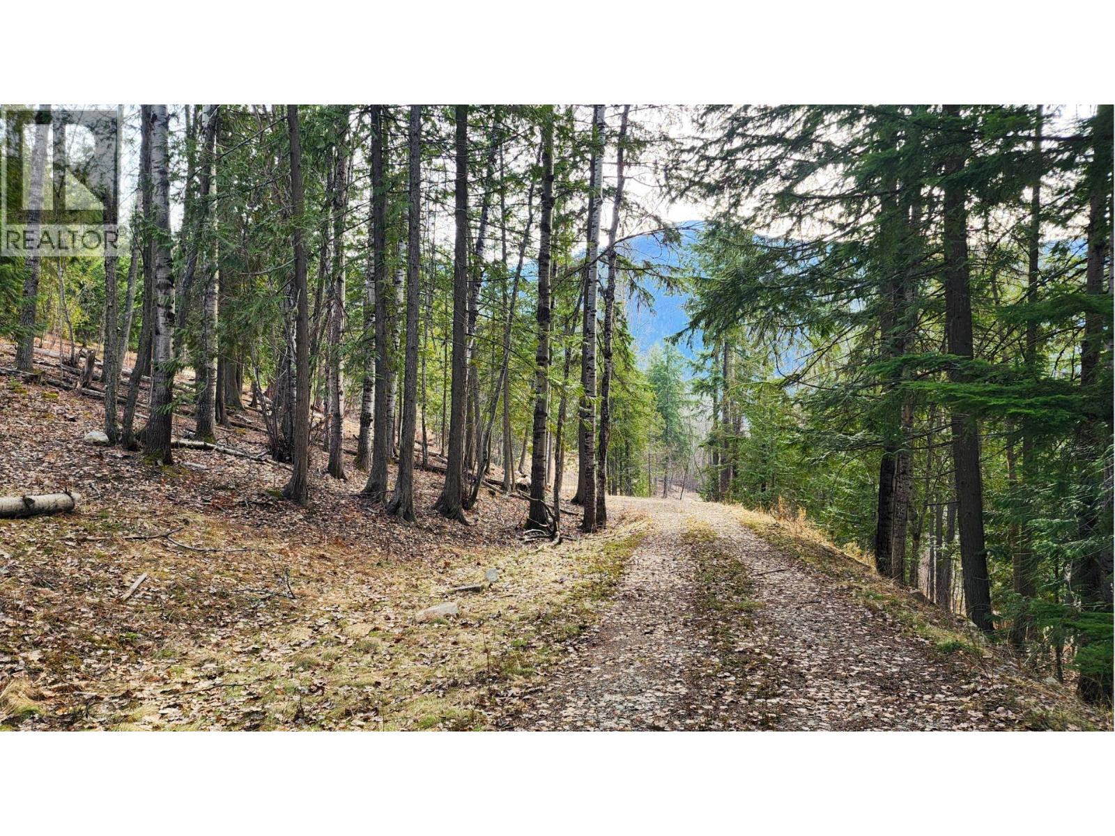 1600 South Sheppard Road, Nelson, British Columbia  V1L 2J1 - Photo 7 - 10380447
