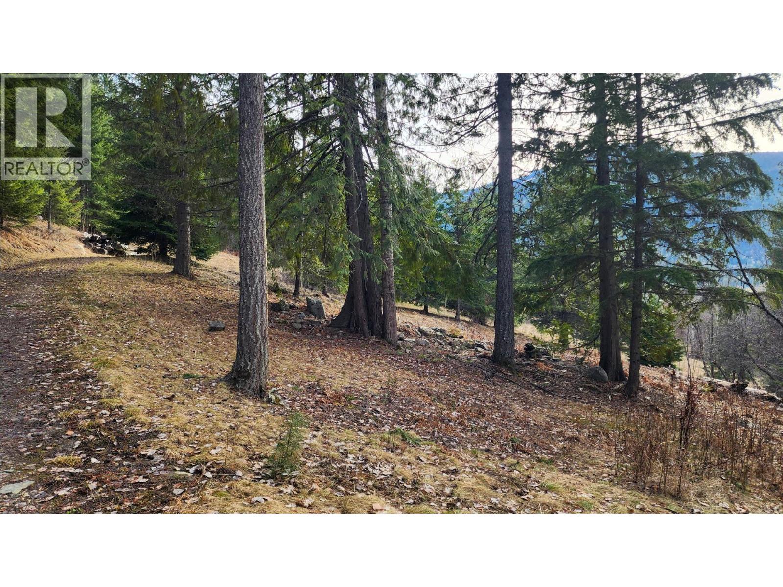 1600 South Sheppard Road, Nelson, British Columbia  V1L 2J1 - Photo 9 - 10380447