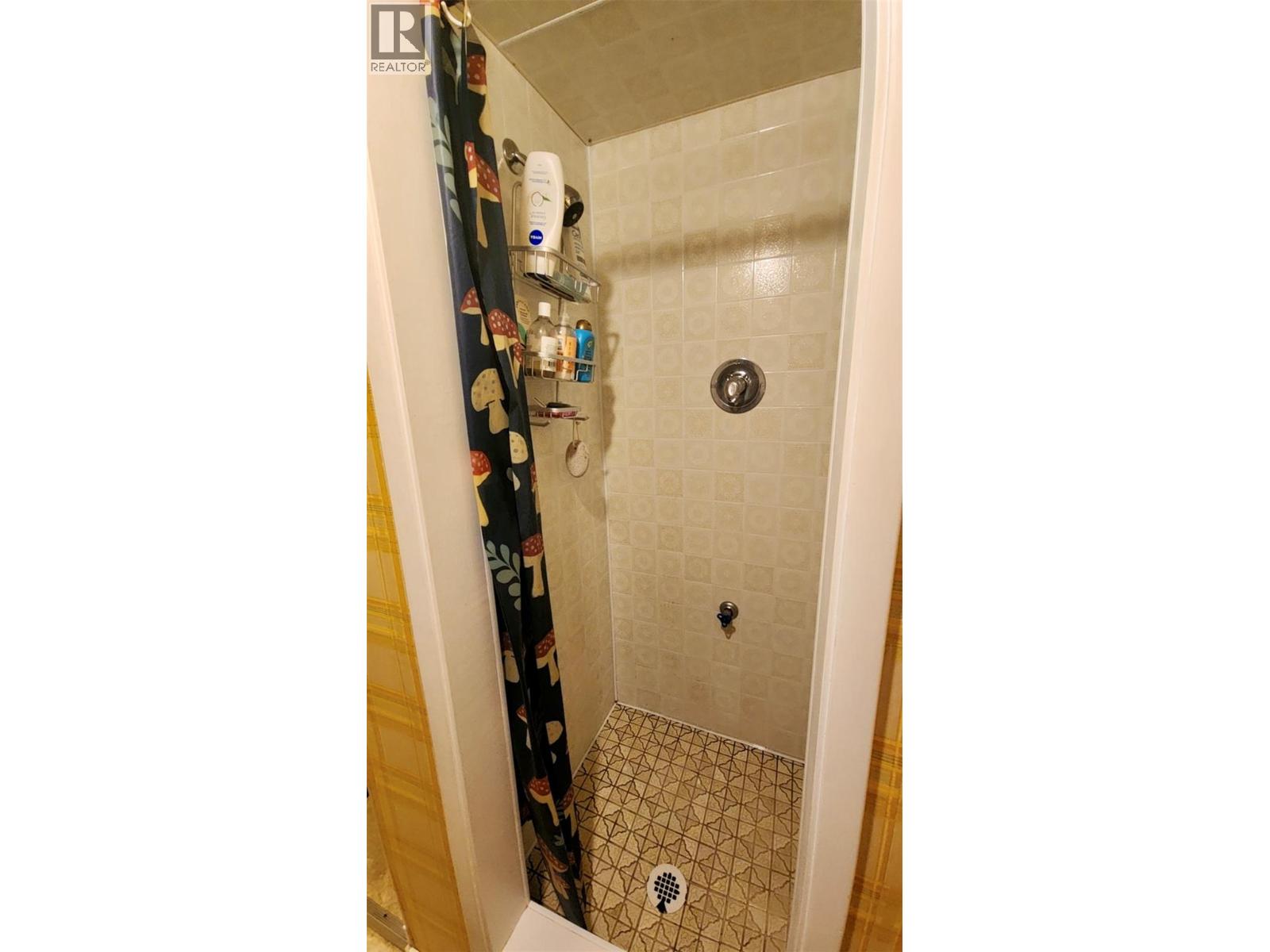 1010 Gilker Street, Nelson, British Columbia  V1L 5V4 - Photo 40 - 10380423
