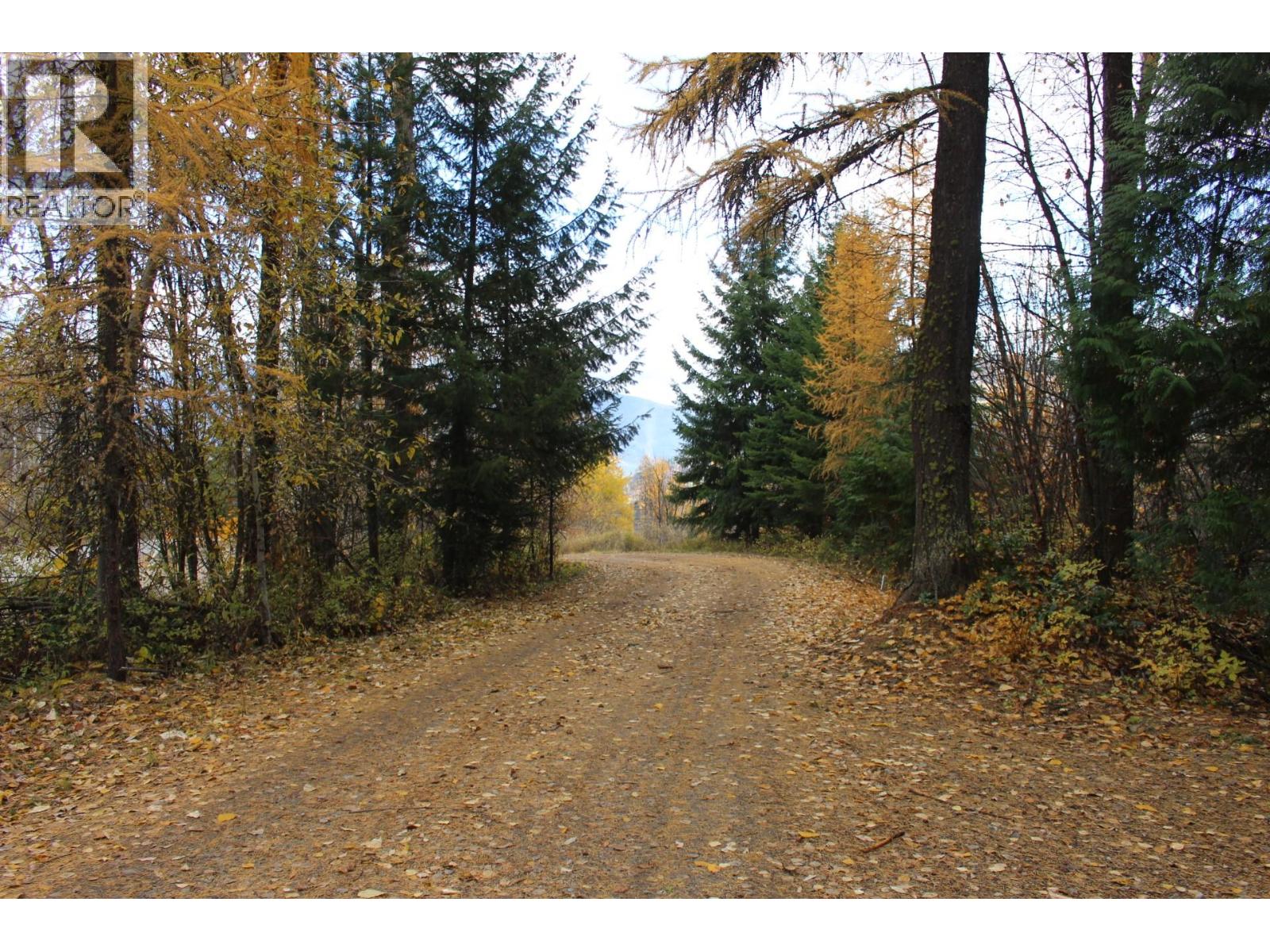 2640 3b Highway, Rossland, British Columbia  V0G 1Y0 - Photo 10 - 10380206