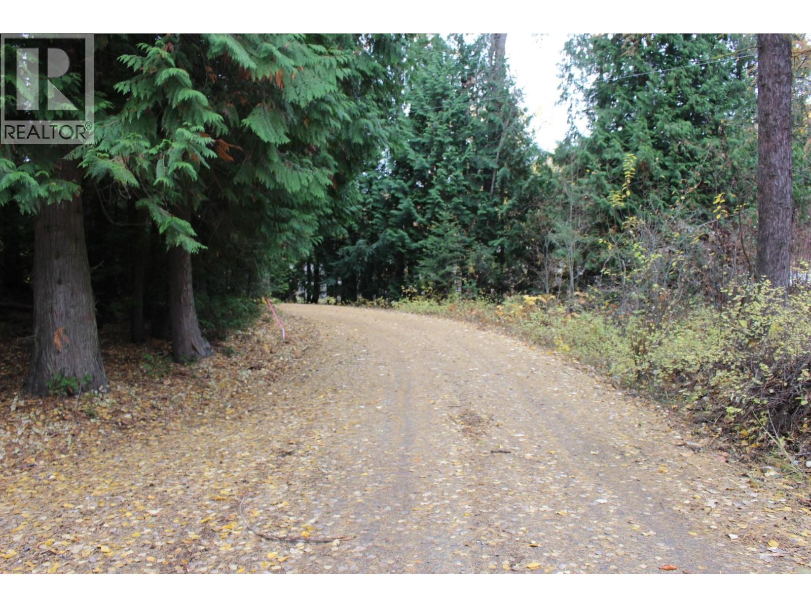 2640 3b Highway, Rossland, British Columbia  V0G 1Y0 - Photo 11 - 10380206