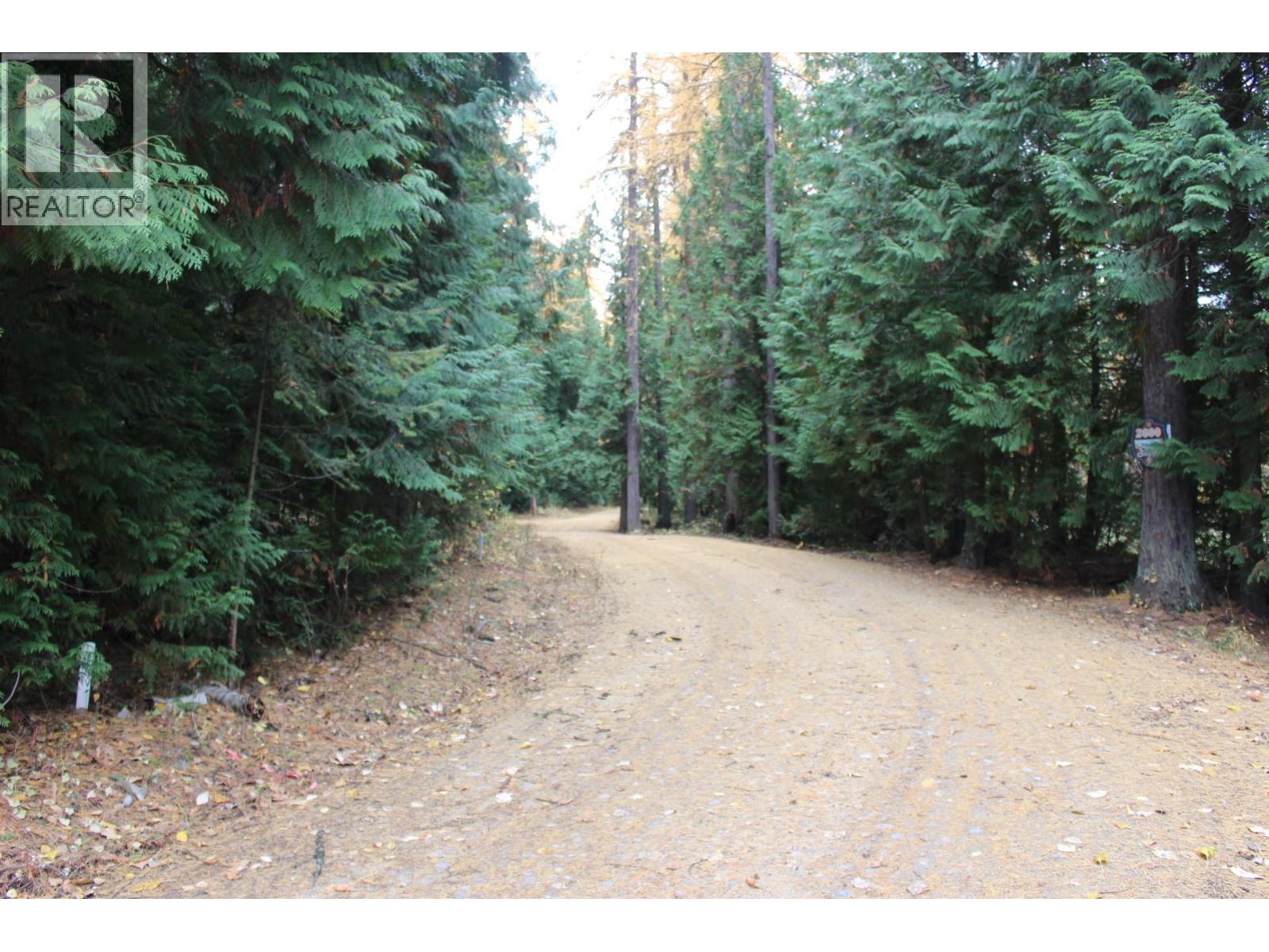 2640 3b Highway, Rossland, British Columbia  V0G 1Y0 - Photo 12 - 10380206