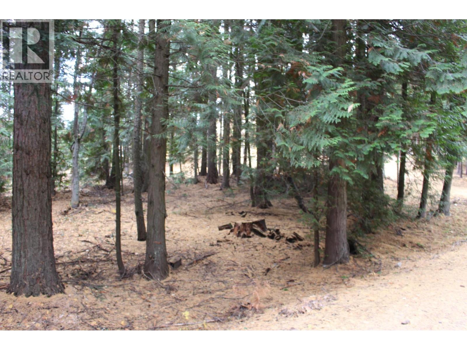 2640 3b Highway, Rossland, British Columbia  V0G 1Y0 - Photo 14 - 10380206