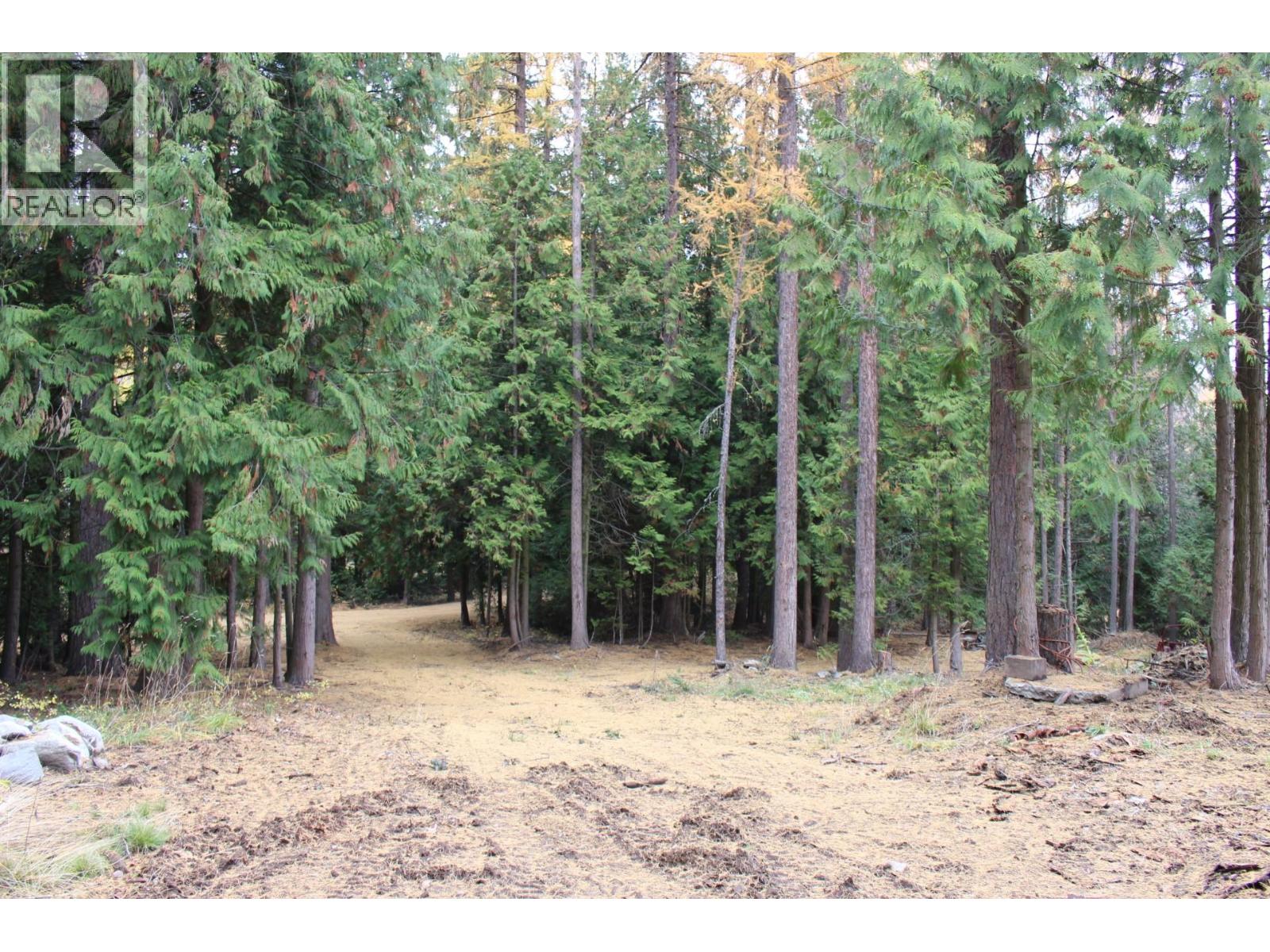 2640 3b Highway, Rossland, British Columbia  V0G 1Y0 - Photo 3 - 10380206