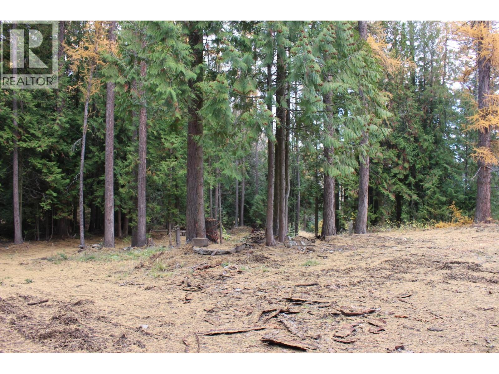 2640 3b Highway, Rossland, British Columbia  V0G 1Y0 - Photo 4 - 10380206