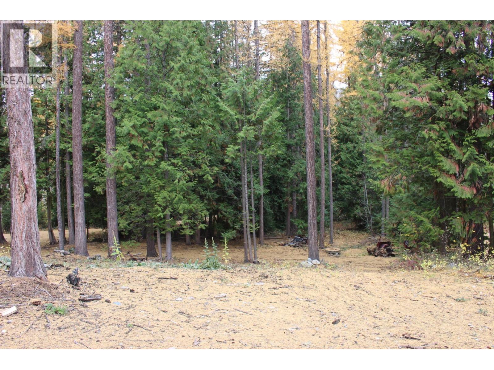 2640 3b Highway, Rossland, British Columbia  V0G 1Y0 - Photo 5 - 10380206